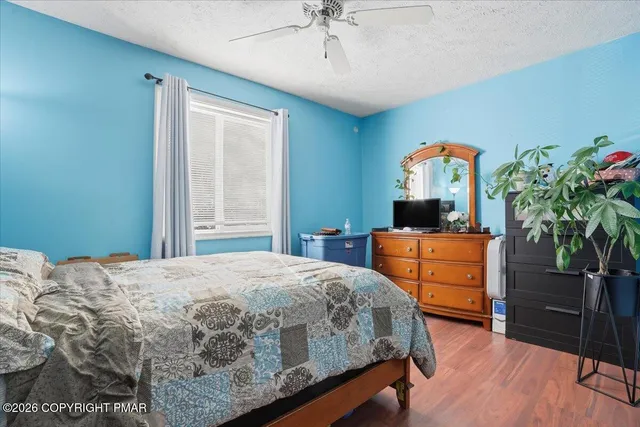 a living room with furniture a couch and a potted plant
