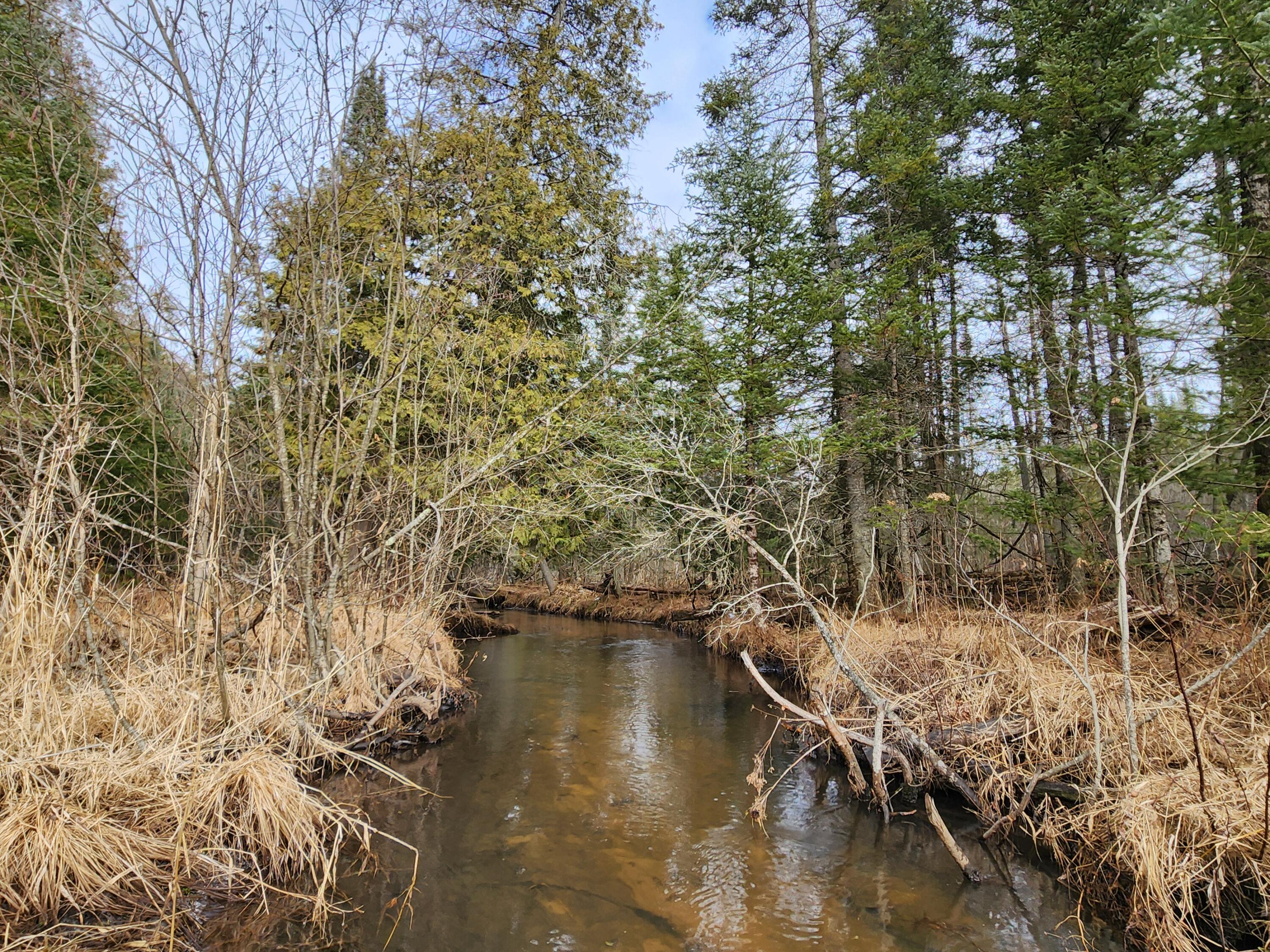 1122 North Perry Creek Road Mio, MI 48647 - Photo 134 of 159 Gallery Image 134