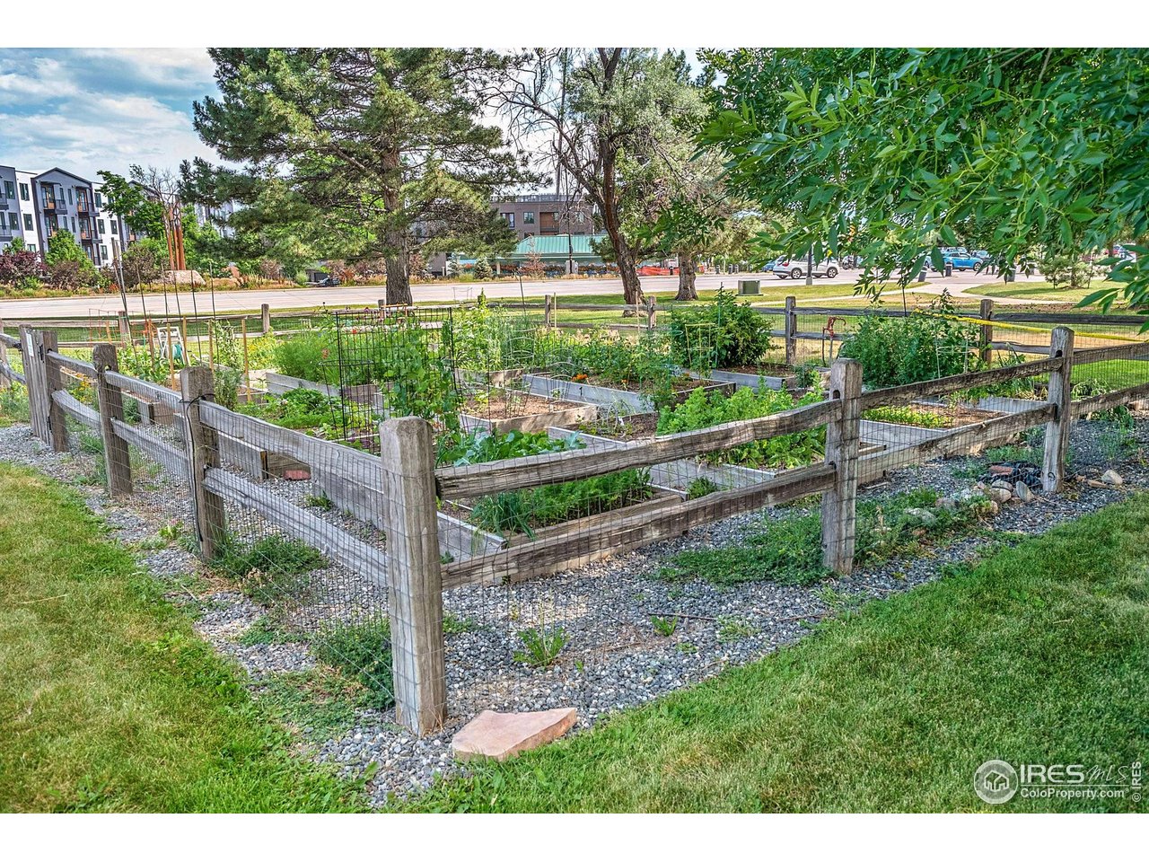 2800 Kalmia Avenue, Unit A-220 Boulder, CO 80301 - Photo 34 of 38 Aspen Grove community gardens