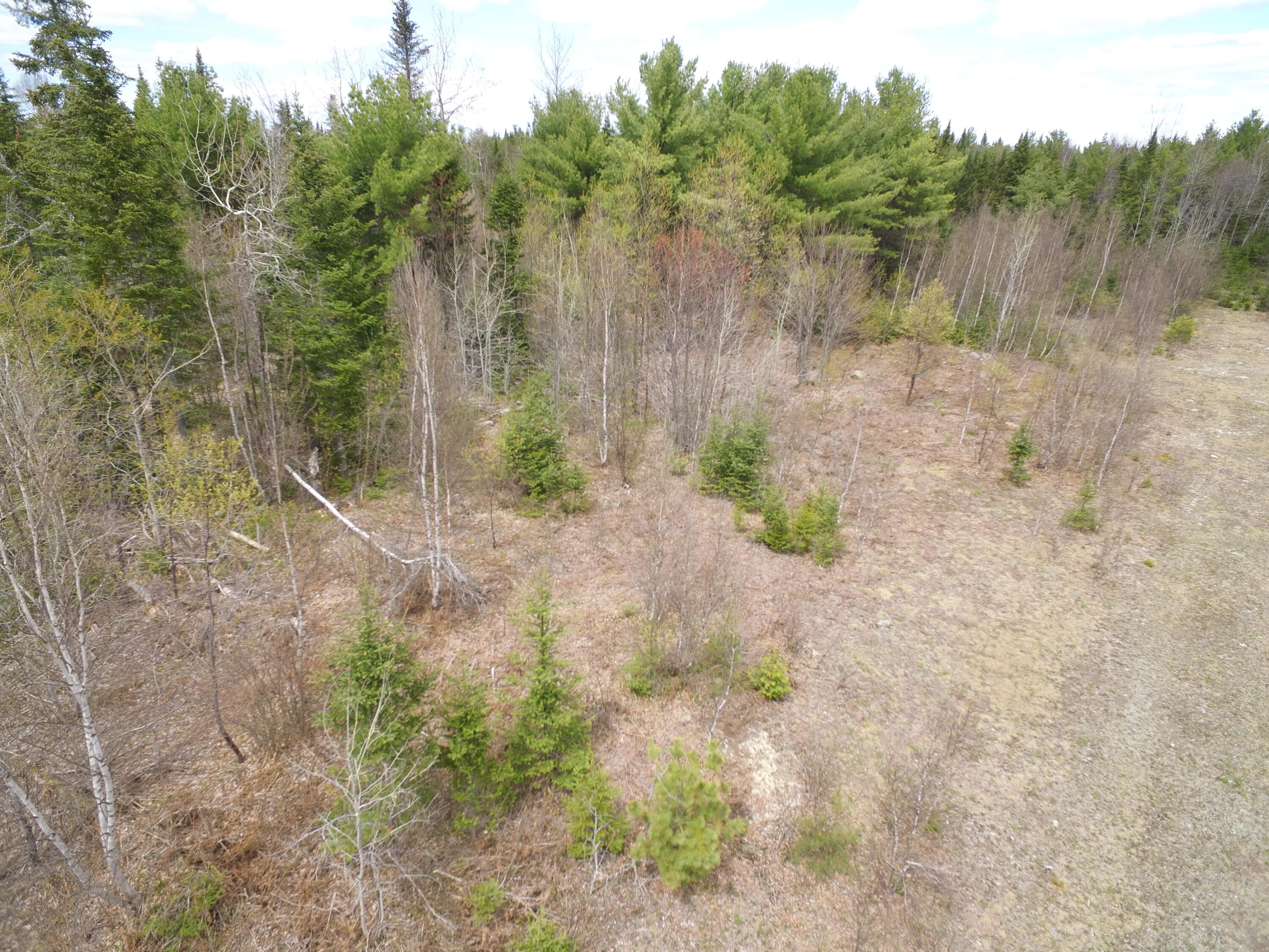 Lot 12 Off Lee Road Springfield, ME 04487 - Photo 19 of 23 DJI_0252