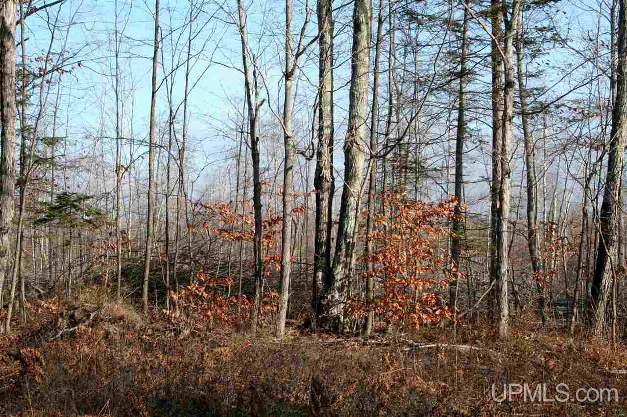 4020 W Letson Road Gulliver, MI 49840 - Photo 9 of 23