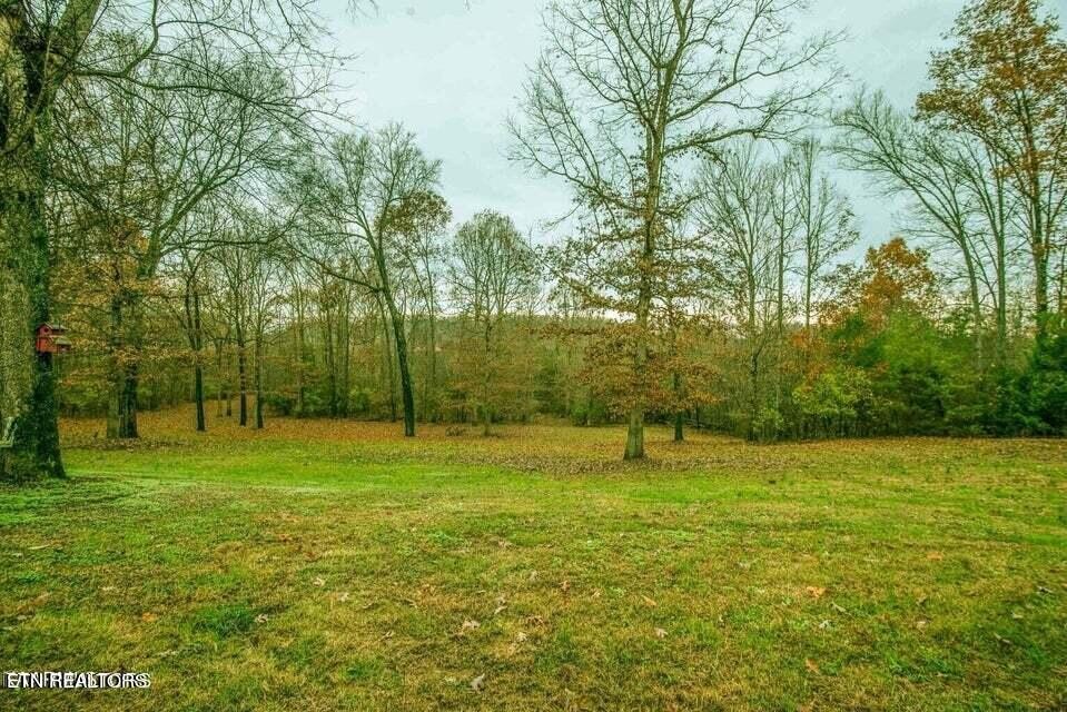 8701 Trout Road Mascot, TN 37806 - Photo 10 of 12 Gallery Image 10