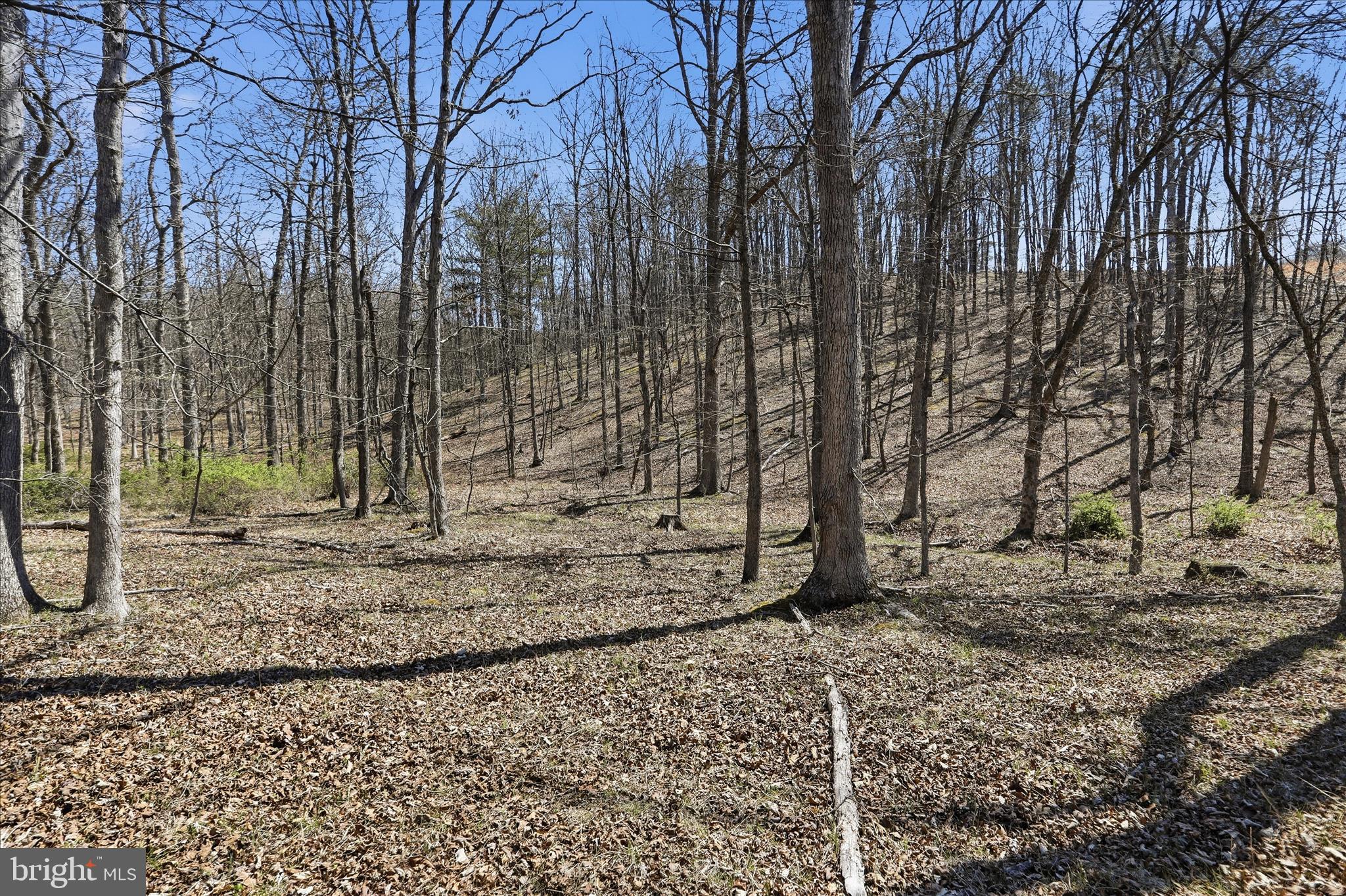20.32-ac Trough Road Moorefield, WV 26836 - Photo 5 of 19 Gallery Image 5