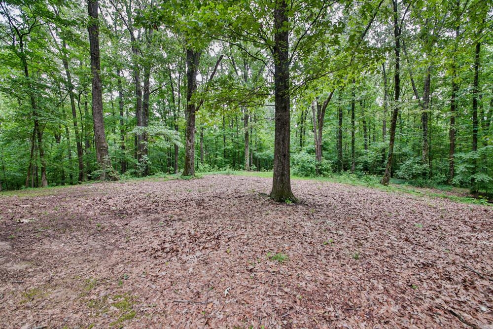 1486 Akins Road Brighton, TN 38011 - Photo 25 of 25 Gallery Image 25