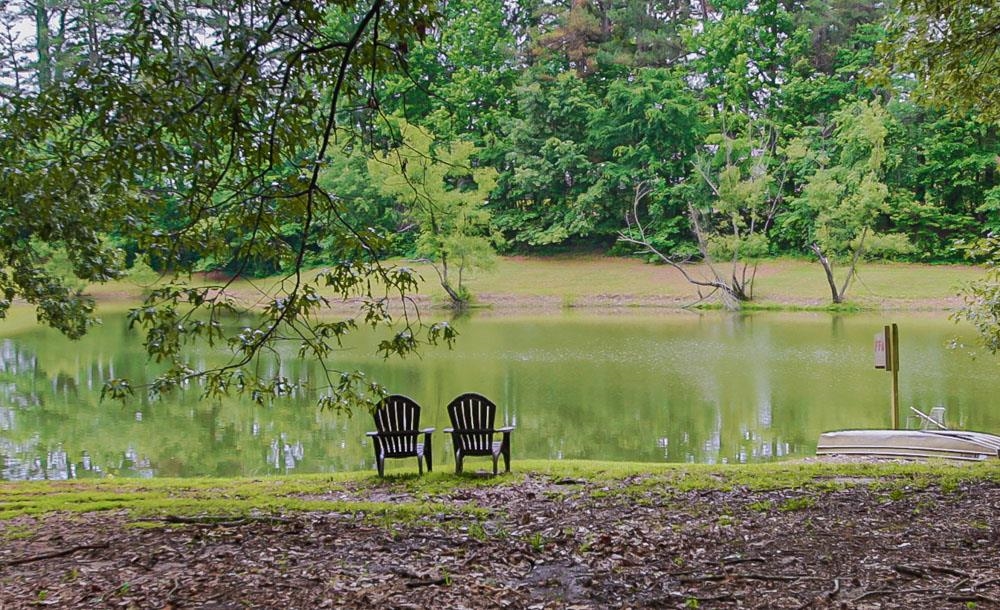 1486 Akins Road Brighton, TN 38011 - Photo 4 of 25 Stocked pond