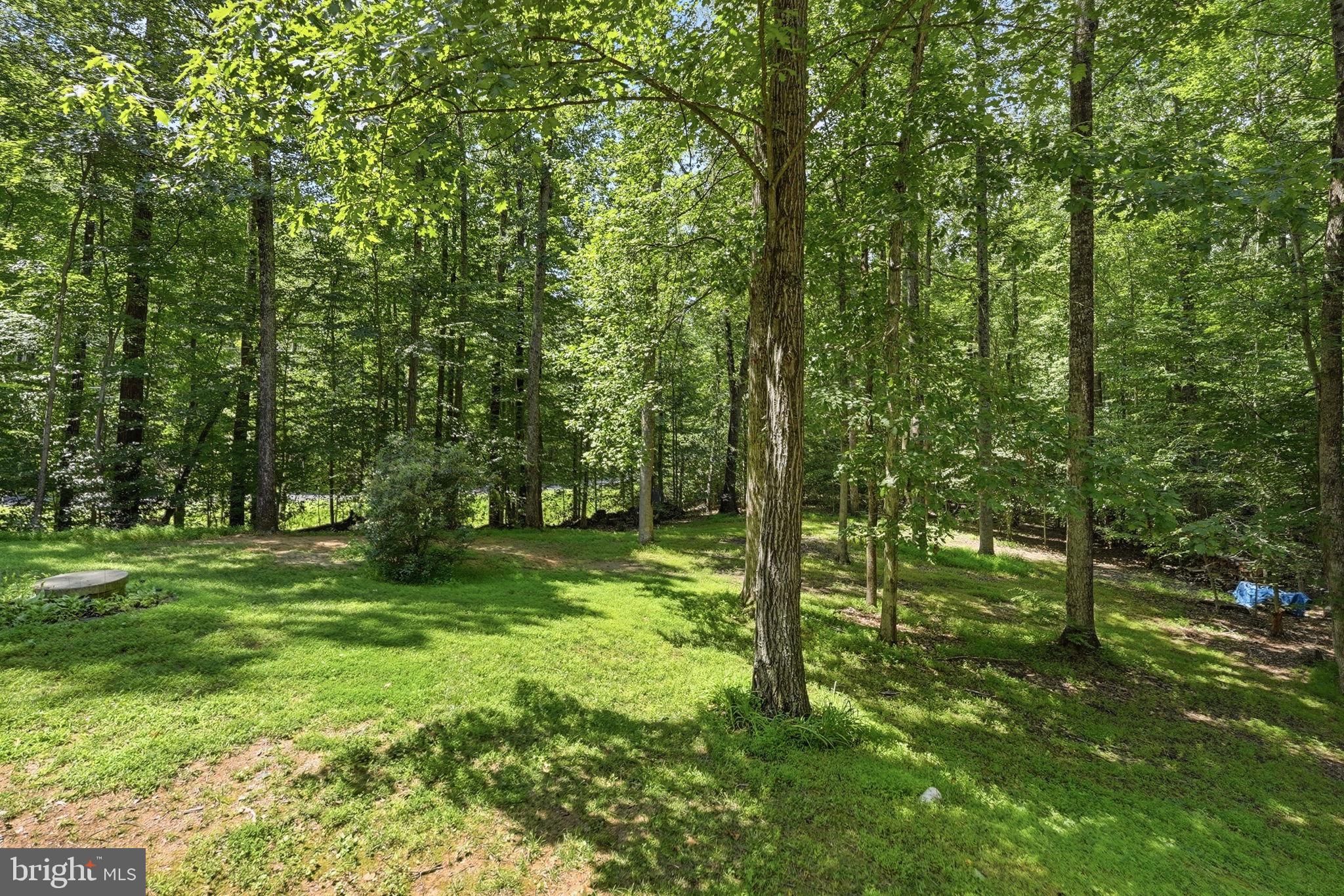 8109 Counselor Road Manassas, VA 20112 - Photo 63 of 100 Gallery Image 63