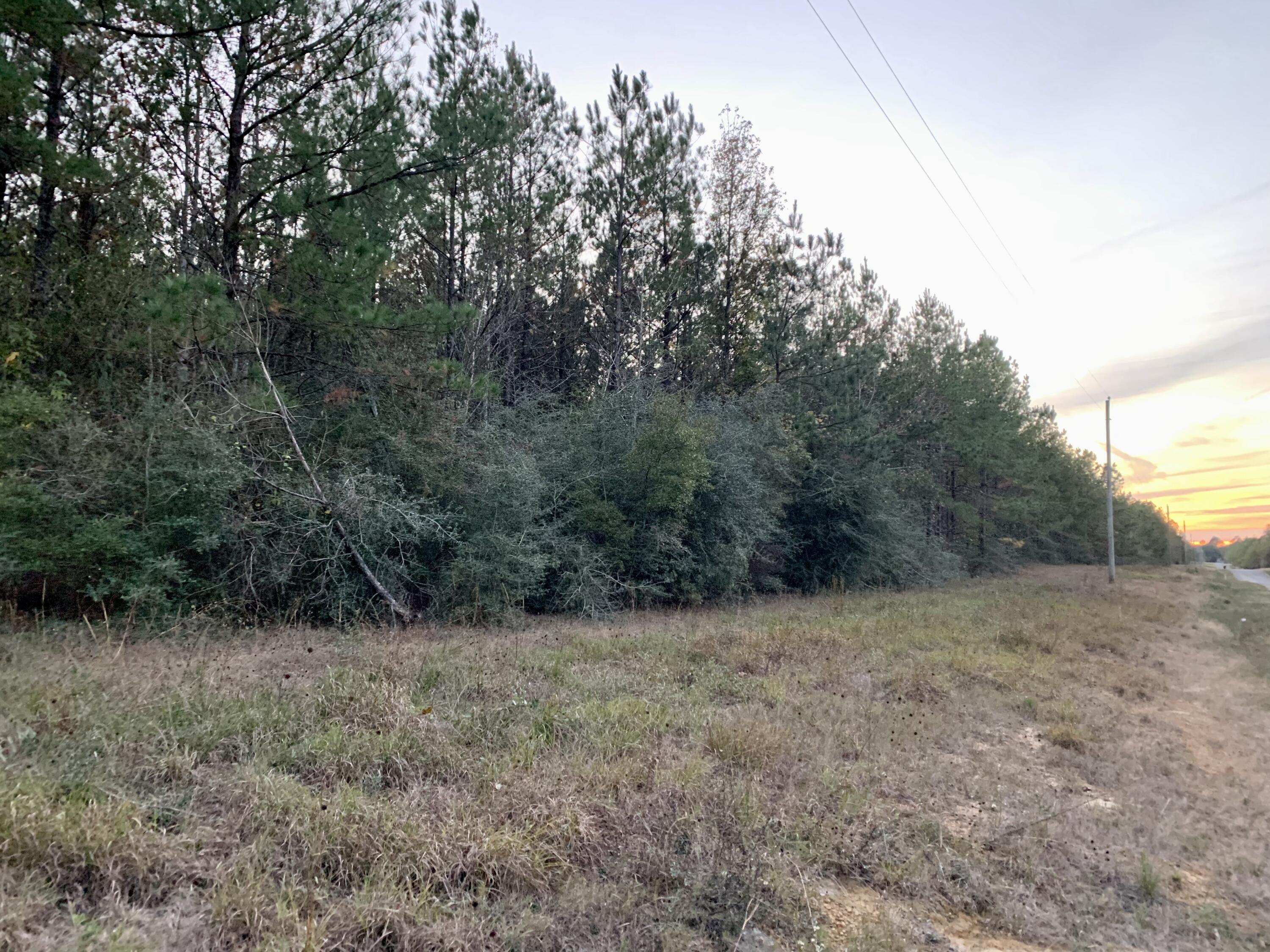 Stamps Road Merryville, LA 70653 - Photo 1 of 1 Gallery Image 1