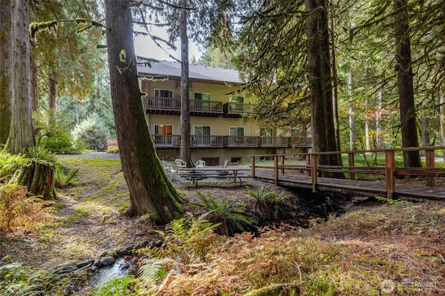 a view of a garden with a bench