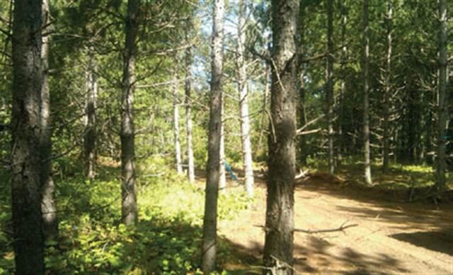 Xxx Net Lake Road Wrenshall, MN 55797 - Photo 1 of 5 Gallery Image 1