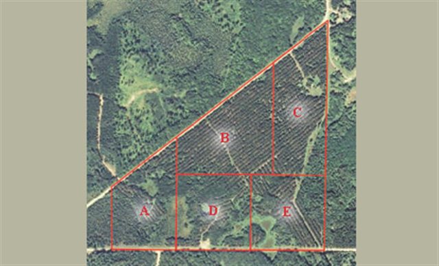 Xxx Net Lake Road Wrenshall, MN 55797 - Photo 5 of 5 Gallery Image 5