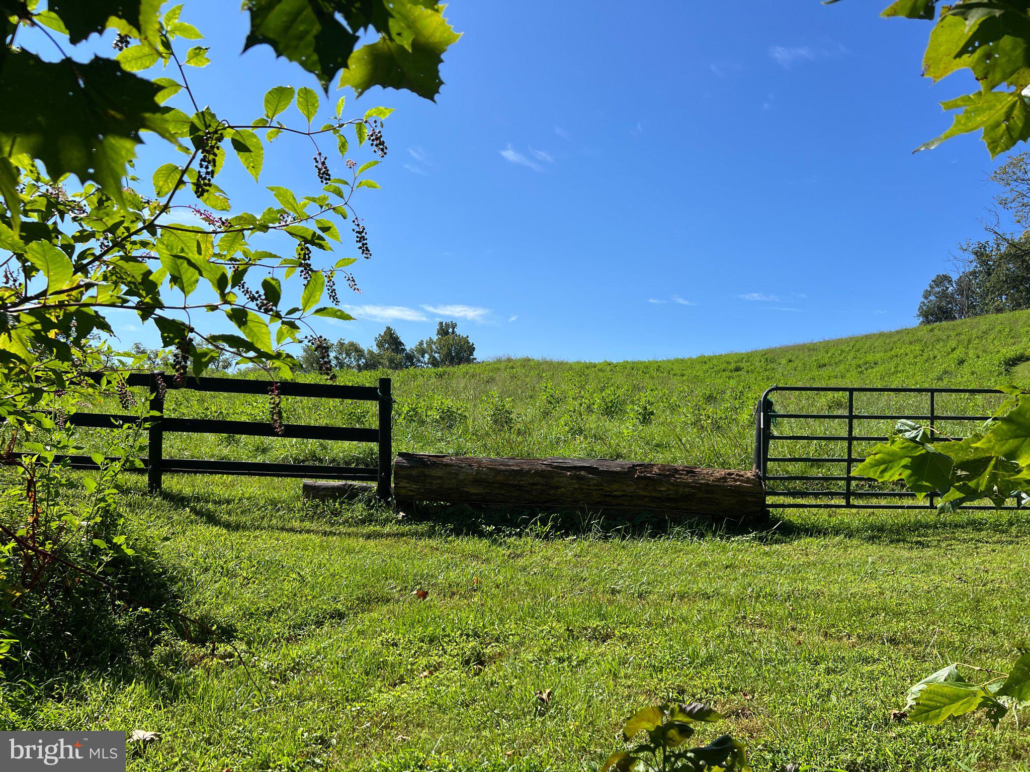 439 Rudasill Road Woodville, VA 22749 - Photo 45 of 55 Log jump into the upper pasture.