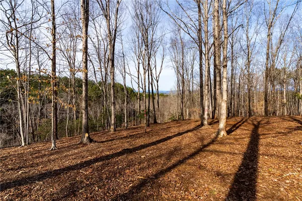 $159,000 | Lot 118 Pine Harbor Way, Salem, SC 29676
