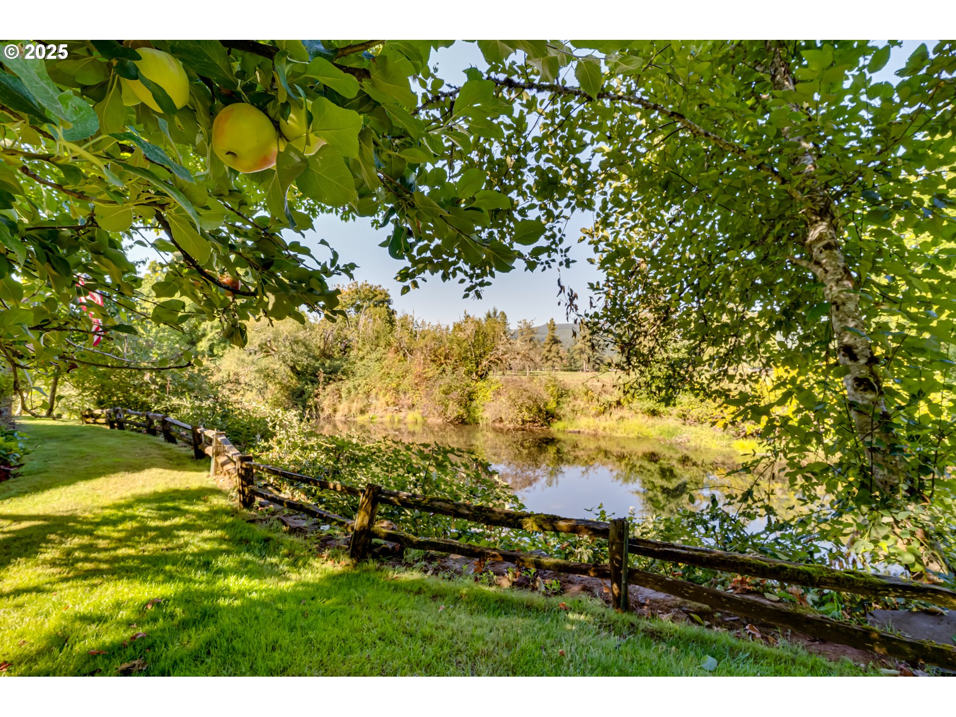 90498 Sunderman Road Springfield, OR 97478 - Photo 42 of 47 a view of yard with green space