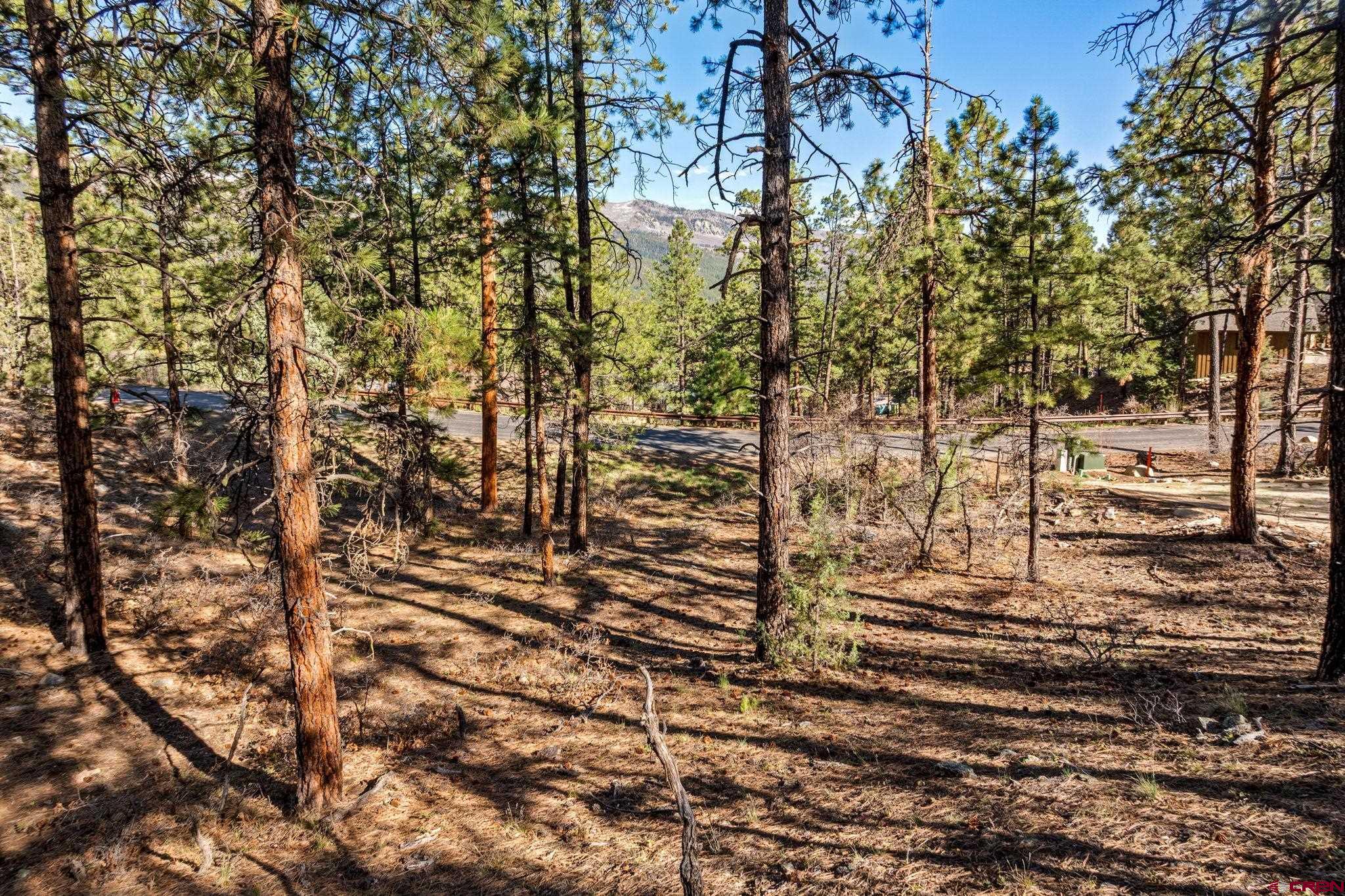 47 Ambush Canyon Durango, CO 81301 - Photo 9 of 18