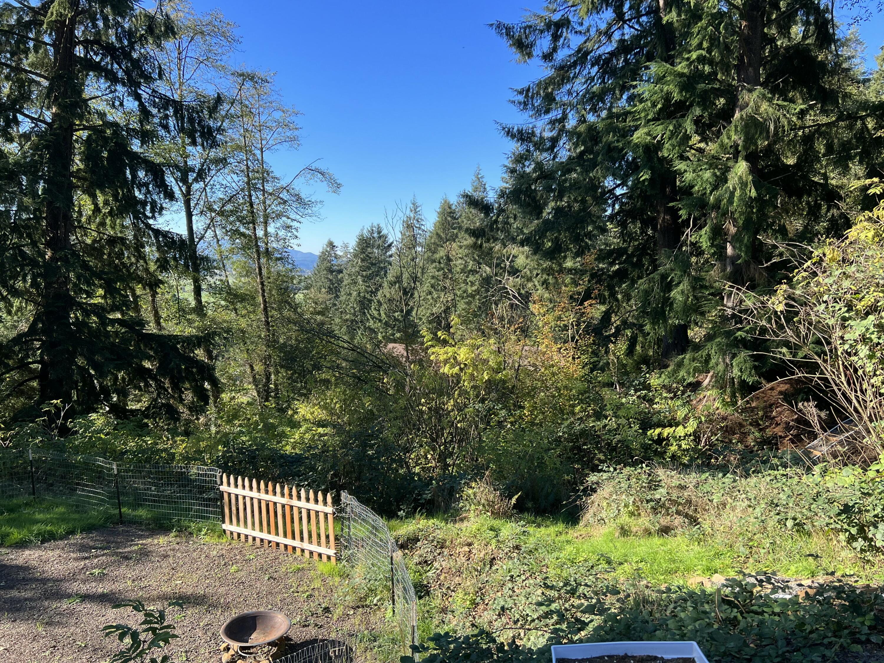 Tl#1000 Aldercrest Road Tillamook, OR 97141 - Photo 10 of 13 IMG_9701