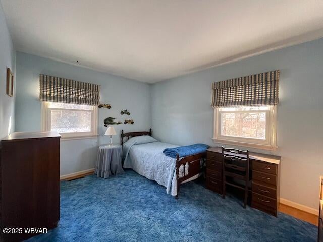 2410 Edercrest Road Williamsport, PA 17701 - Photo 37 of 52 IMG_1160
