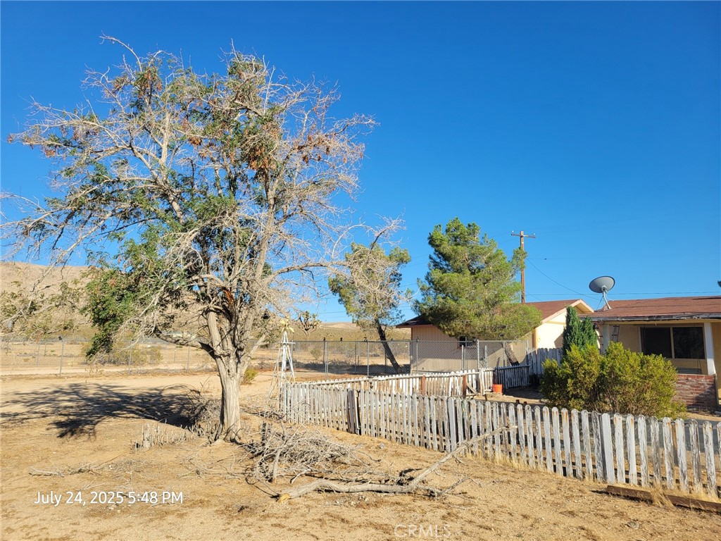 27177 Cahuilla Road Apple Valley, CA 92307 - Photo 4 of 75 a view of a yard with a tree
