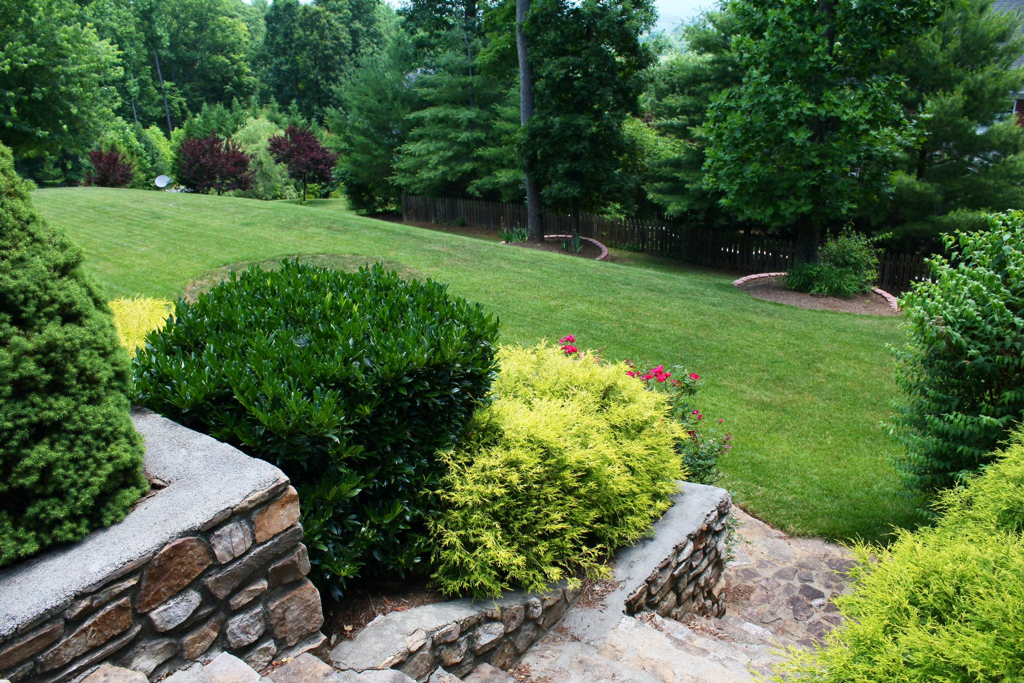 #6 - Steps to Back Yard - 1