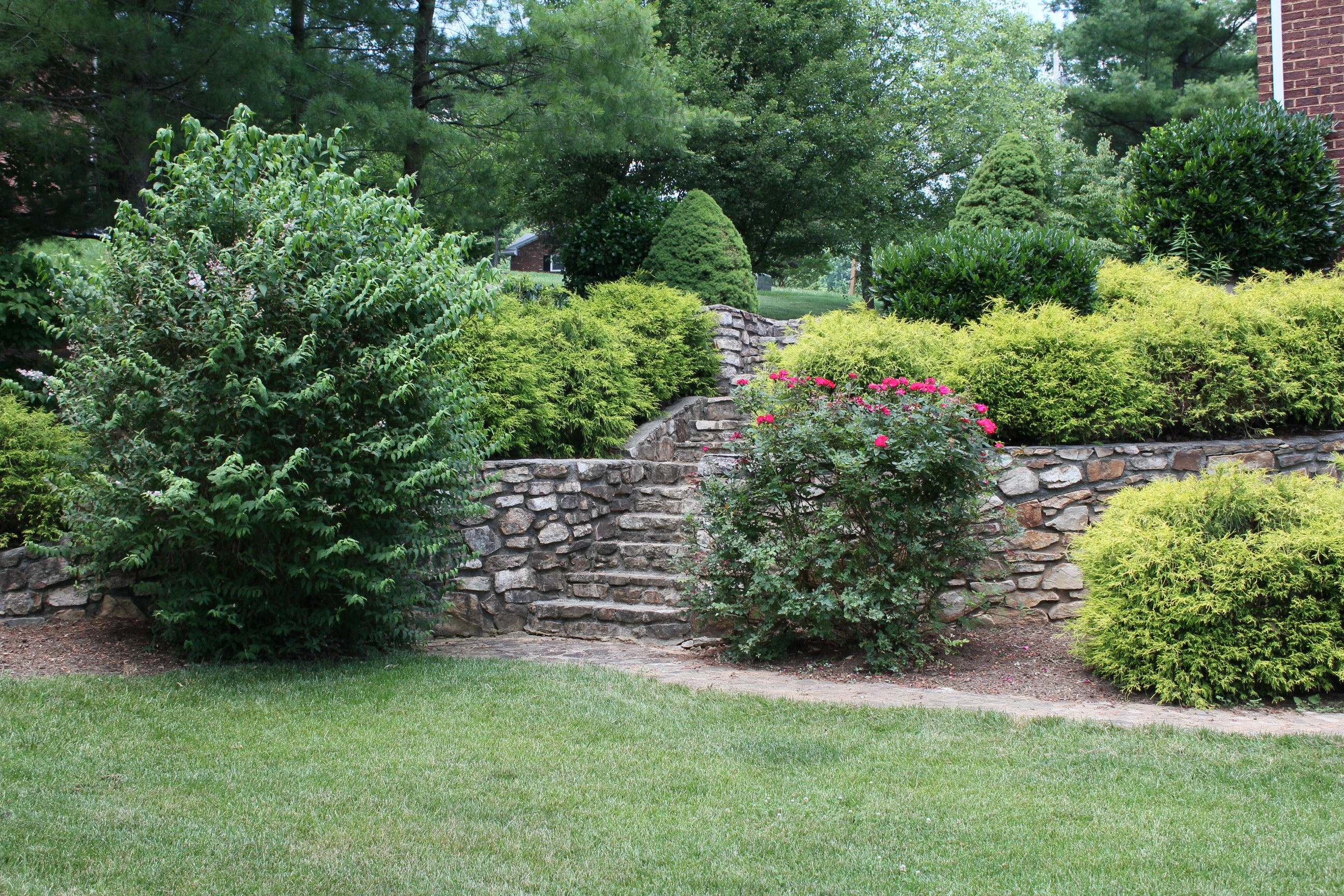 #7 - Steps to Back Yard - 2