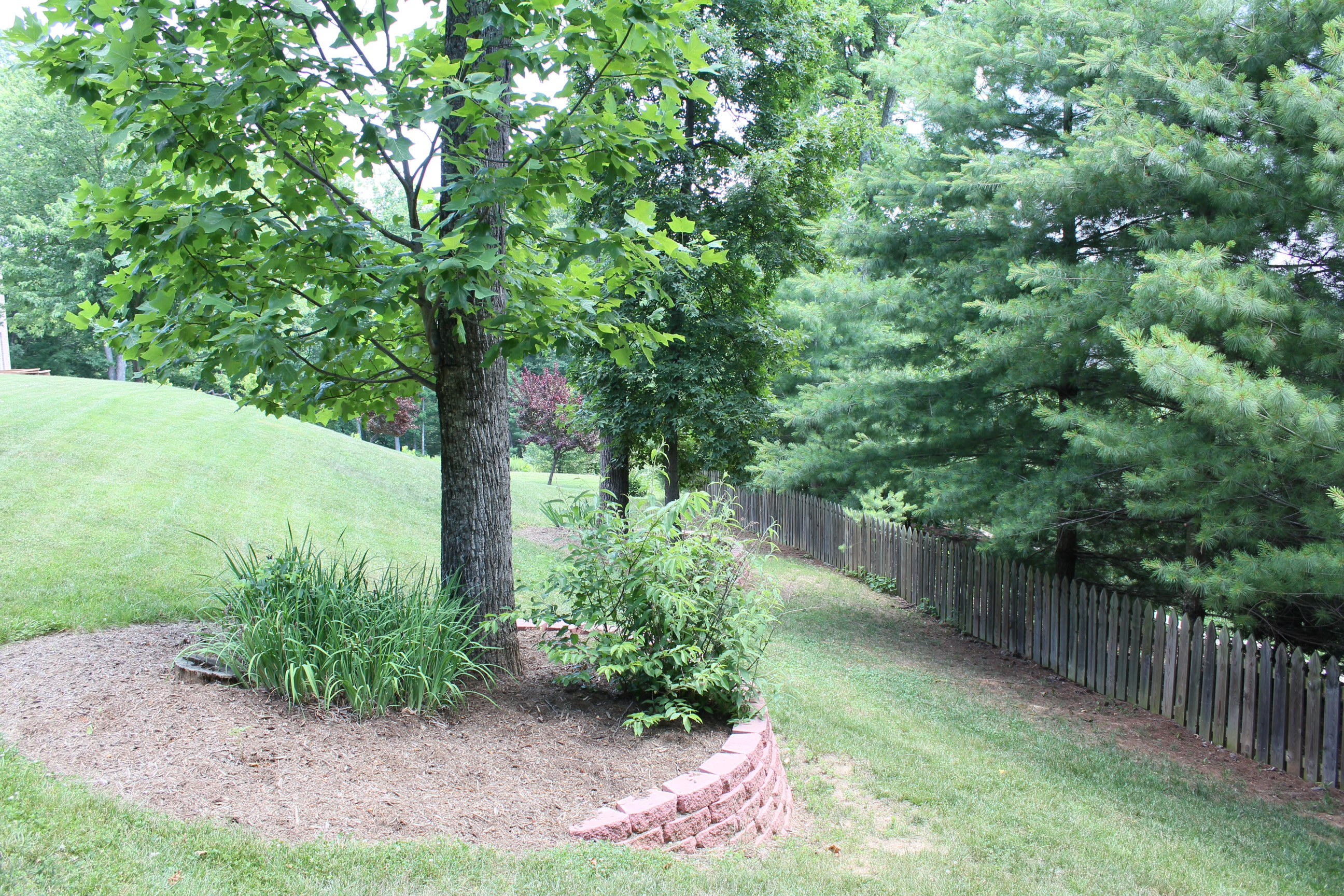 1232 Longview Road Roanoke, VA 24018 - Photo 9 of 51 #9 - Back Yard - 2