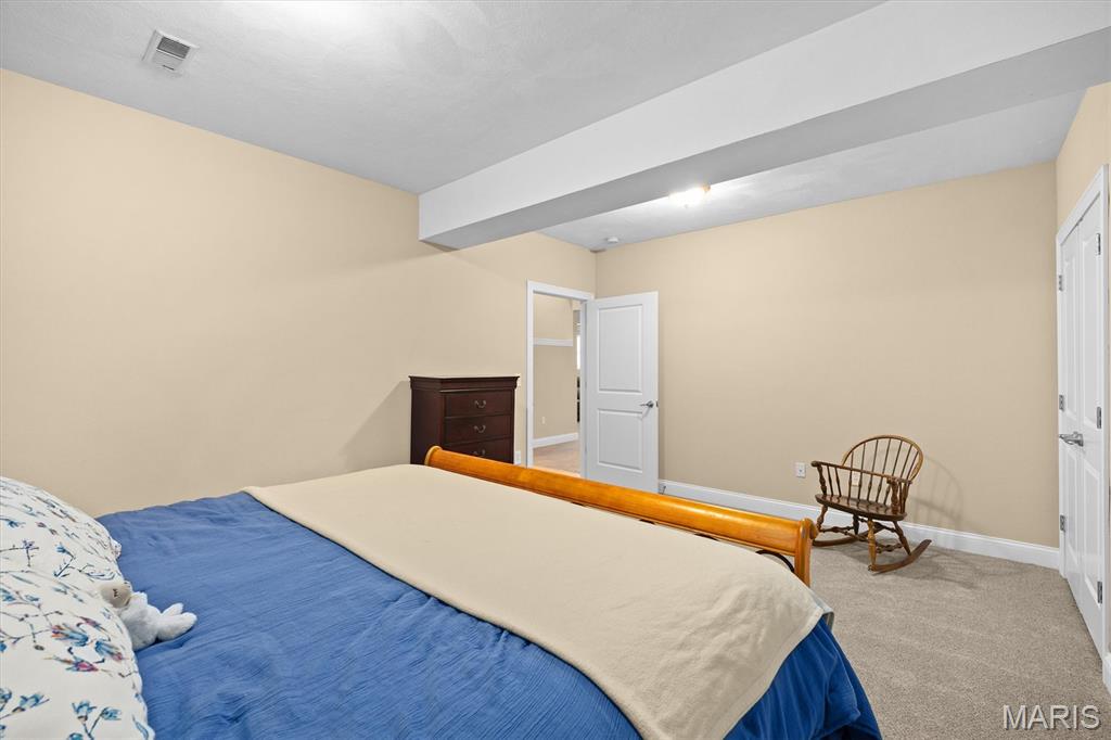 504 Overbrook Circle O'Fallon, IL 62269 - Photo 38 of 67