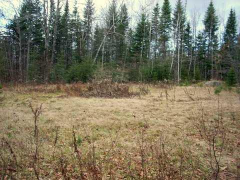 1 Lawler Ridge Road Benedicta, ME 04733 - Photo 7 of 8 Land/Lot.