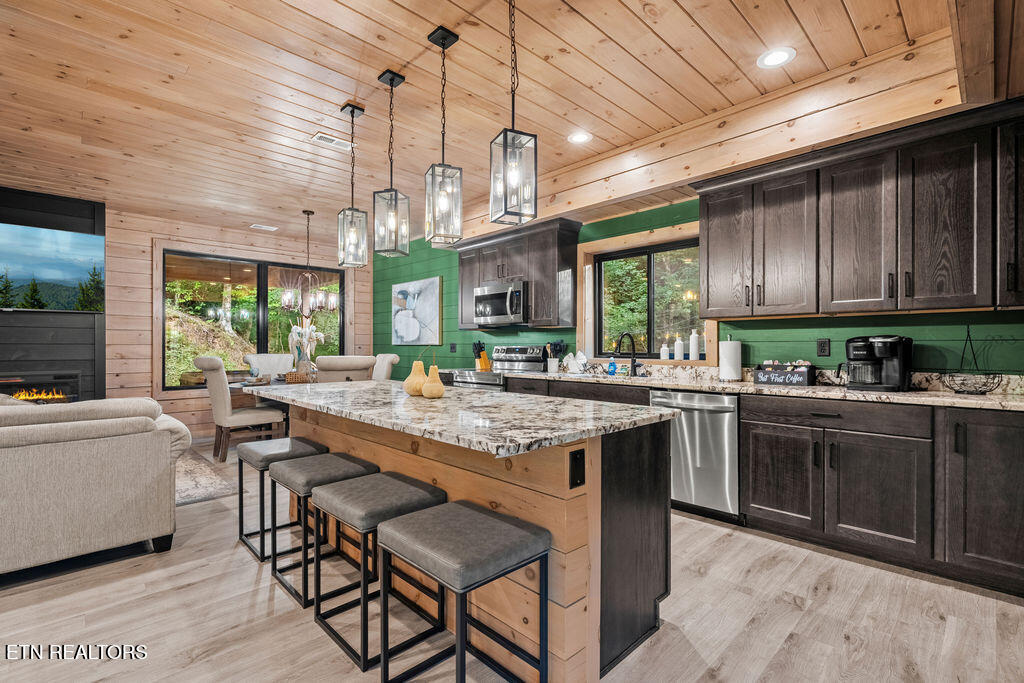 1619 Mitchell Farm Road Sevierville, TN 37876 - Photo 22 of 55 DSC05860-HDR