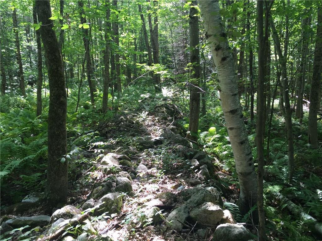 0 Spiller Hill Road Raymond, ME 04071 - Photo 18 of 20 Photo