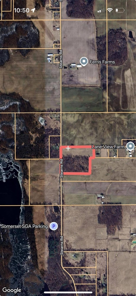 0 Stearns Road Somerset Center, MI 49282 - Photo 12 of 16