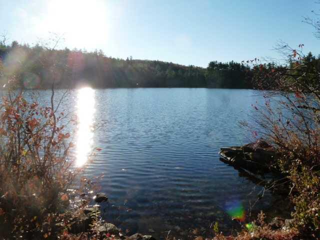 95 Lovejoy Pond Road Wayne, ME 04284 - Photo 5 of 18 Yard/Garden.