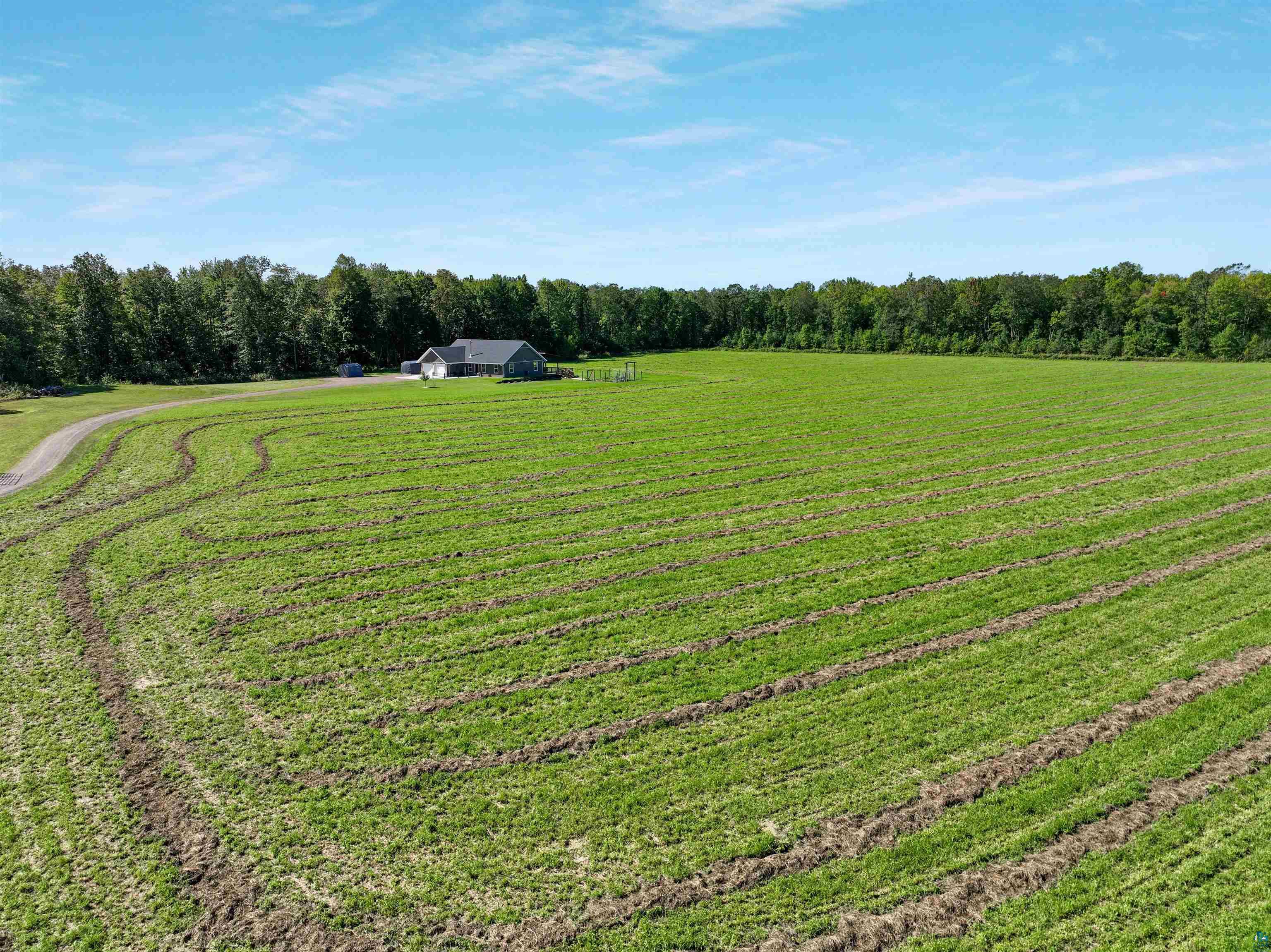 N3685 Fenander Road Spooner, WI 54801 - Photo 8 of 38 View of yard with a rural view