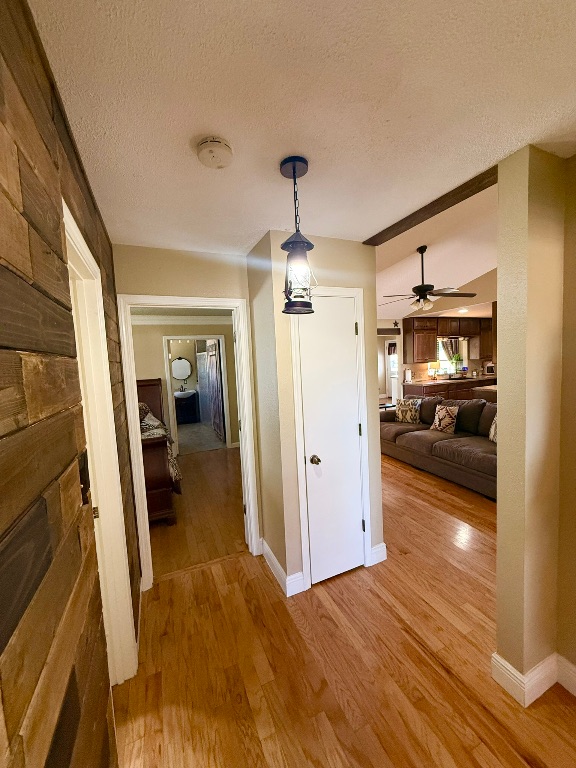 211 Rabbit Hollow Lane Georgetown, TX 78626 - Photo 20 of 32 Hall with a textured ceiling and light wood-type flooring