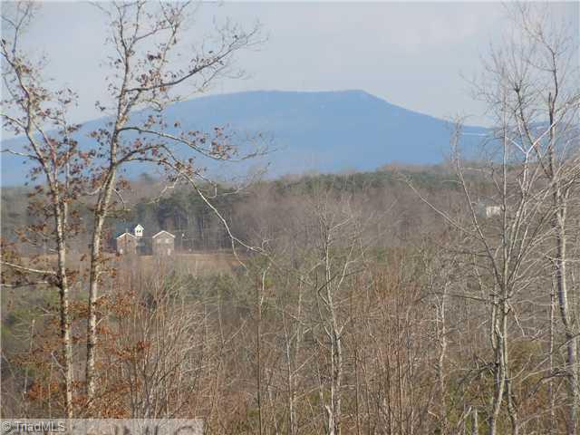 12 Matthews Road Pilot Mountain, NC 27041 - Photo 8 of 10 Other. Sauratown Mountain View