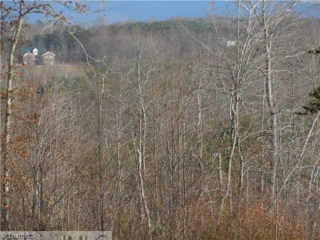 12 Matthews Road Pilot Mountain, NC 27041 - Photo 10 of 10 Other. Woodland