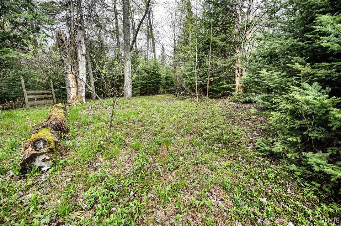 206 Conway Road Ohio, NY 13324 - Photo 35 of 39