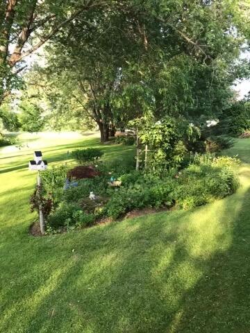 159 Payson Road Union, ME 04862 - Photo 123 of 128 IMG_3270