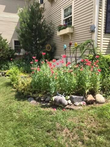 159 Payson Road Union, ME 04862 - Photo 125 of 128 IMG_3273