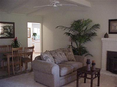 7138 Raymond Road Sebastopol, CA 95472 - Photo 3 of 7 a living room with furniture a potted plant and a fireplace