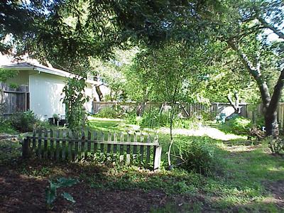 7138 Raymond Road Sebastopol, CA 95472 - Photo 6 of 7 a view of a garden