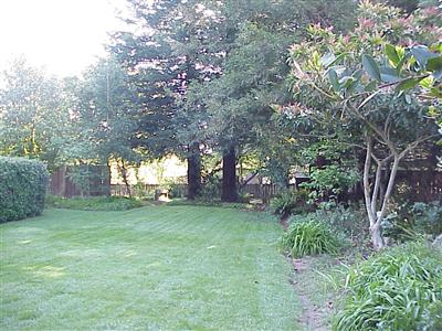 7138 Raymond Road Sebastopol, CA 95472 - Photo 7 of 7 a view of a tree in a yard