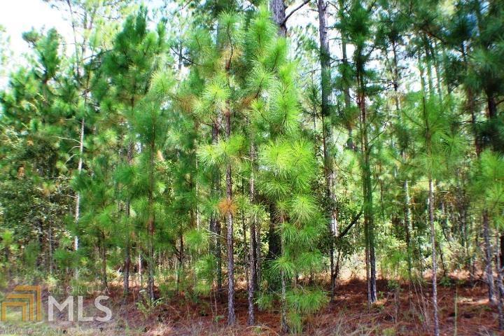0 Payne Road, Unit LOT 13 Rentz, GA 31075 - Photo 1 of 1 Gallery Image 1