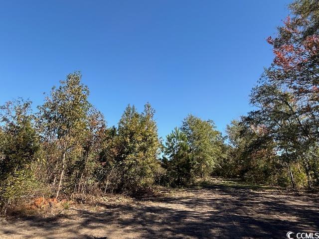 9.76-acs Rabon Road Aynor, SC 29511 - Photo 20 of 20