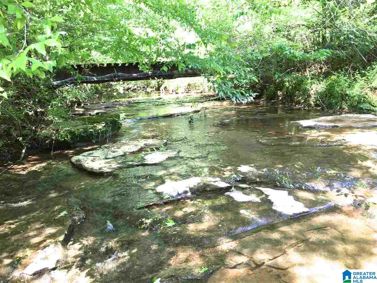 4545 Holly Grove Road Jasper, AL 35501 - Photo 33 of 33