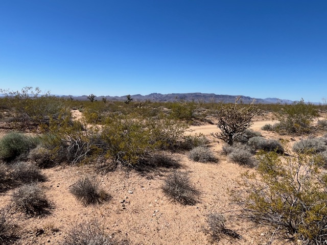 207-17-166a Cherry Road Yucca, AZ 86438 - Photo 11 of 15