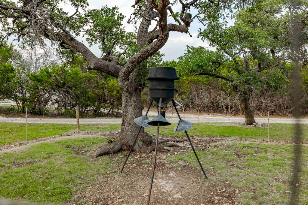 257 Encino Loop Kerrville, TX 78028 - Photo 58 of 92 a view of a park with large trees