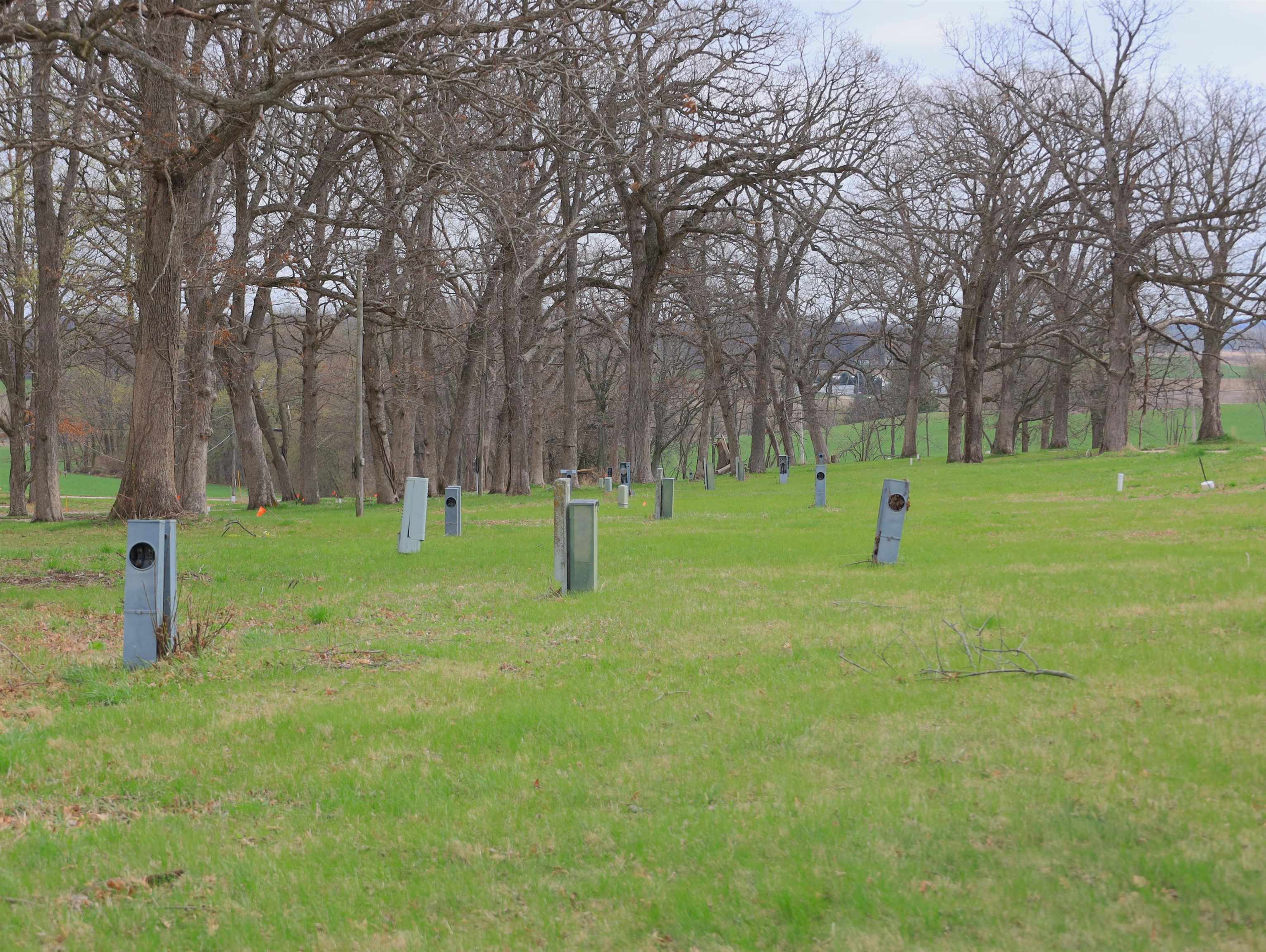 4500 East River Road Ridott, IL 61067 - Photo 39 of 54 a view of a park with large trees
