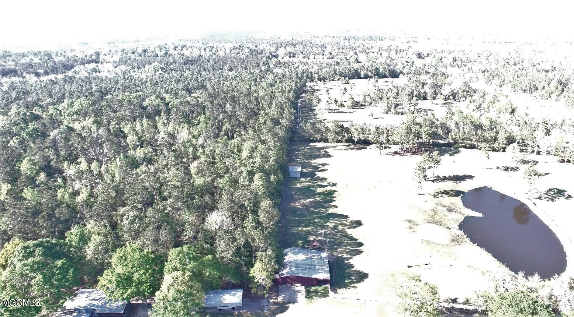 0 High Street Road Saucier, MS 39574 - Photo 6 of 14 Southeast Corner of 49 Acres