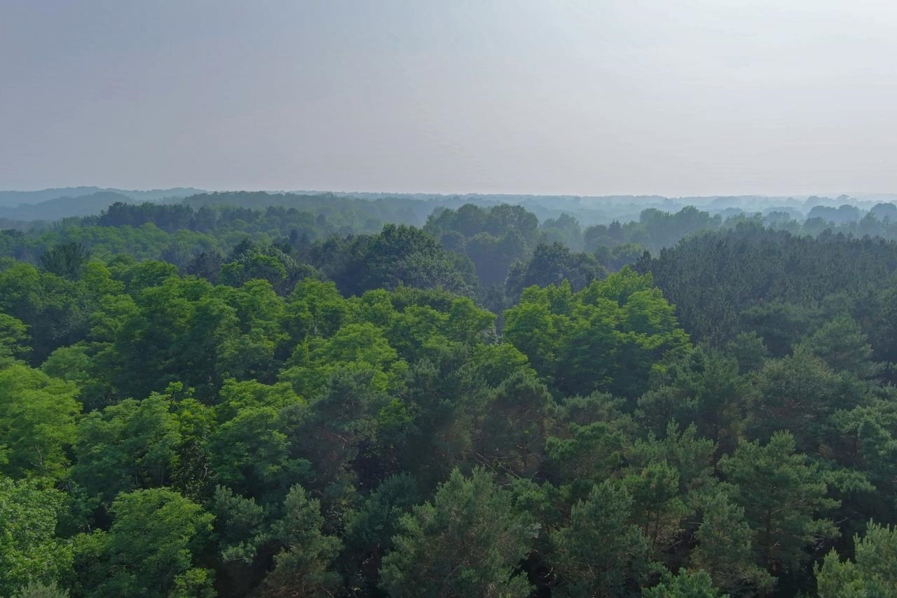 3269 Forrester Road Frankfort, MI 49635 - Photo 65 of 67