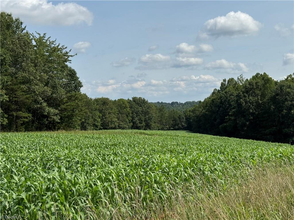 0 Edwards Farm Road King, NC 27021 - Photo 16 of 22