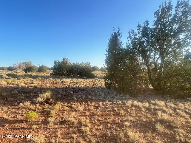 349- Rocky Top Road Seligman, AZ 86337 - Photo 6 of 10 IMG_9233
